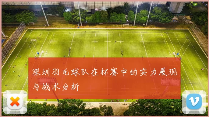 深圳羽毛球队在杯赛中的实力展现与战术分析