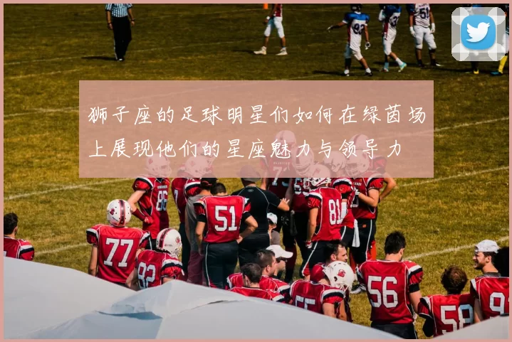 狮子座的足球明星们如何在绿茵场上展现他们的星座魅力与领导力